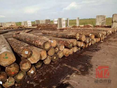 钦州卖原木板材的地方（钦州木材交易市场）