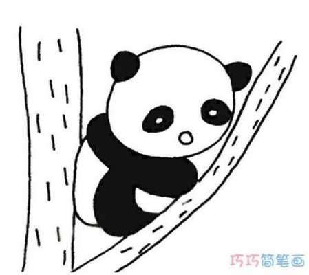 小熊猫爬木梯（小熊猫爬竹子简笔画）